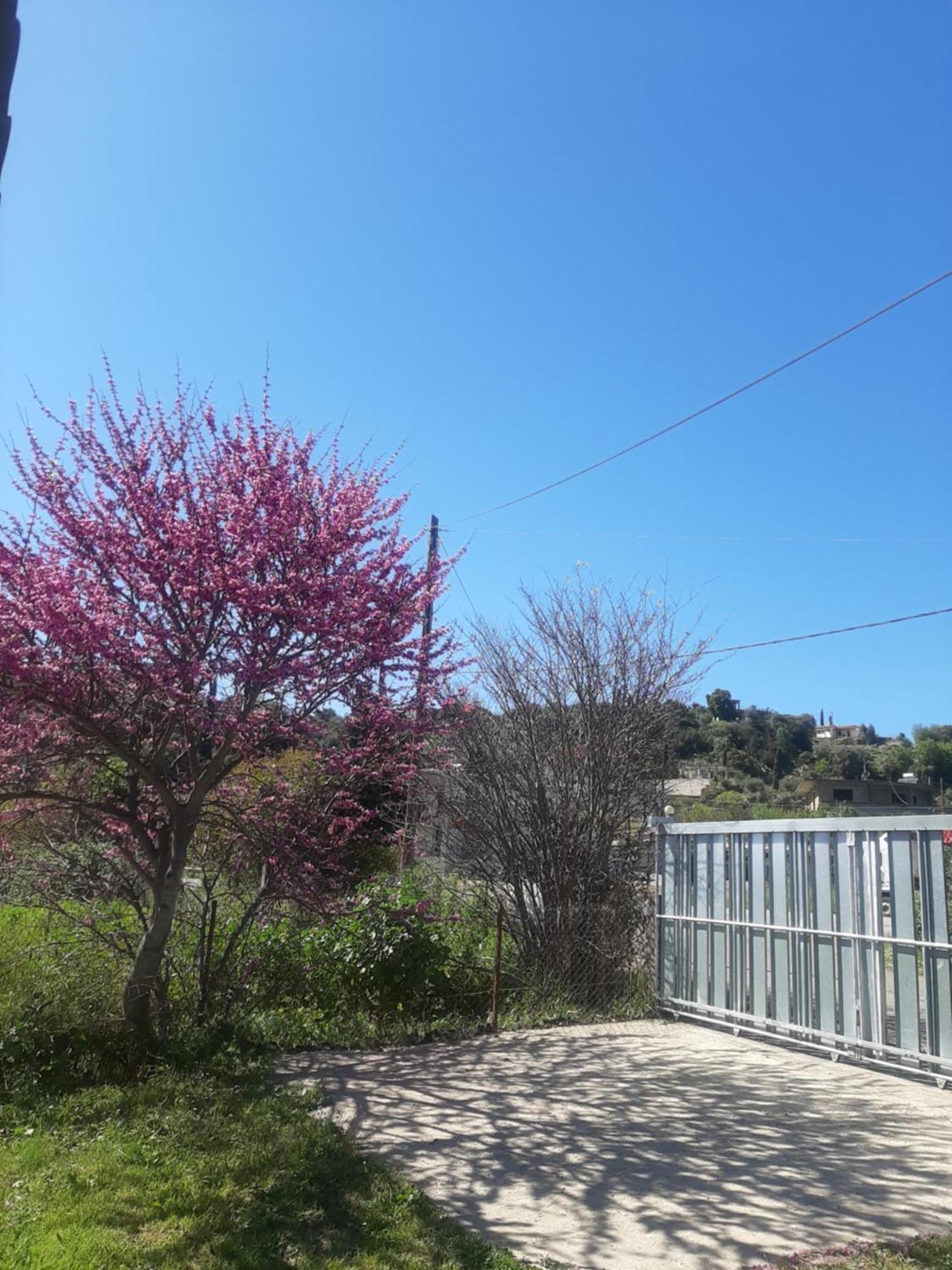 The Mansion Of Dionisos And Dimitras 6 Βίλα Linaria  Εξωτερικό φωτογραφία